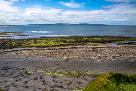 Téléchargez les photos : Storm beach by Carrowhubbuck North Carrownedin près d'Inishcrone, Enniscrone dans le comté de Sligo, Irlande - en image libre de droit