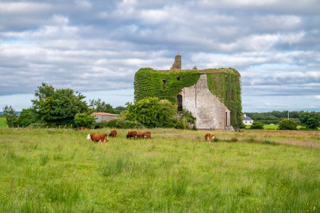 Téléchargez les photos : Château de Deel, dans Irish Caislean na Daoile, a été construit au 16ème siècle - Comté de Mayo, Irlande. - en image libre de droit