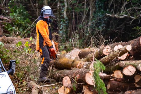 Foto de PORTNOO, CPUNTY DONEGAL, IRLANDA - 19 DE OCTUBRE DE 2022: Trabajadores talando y triturando árboles, arbustos y arbustos - Imagen libre de derechos