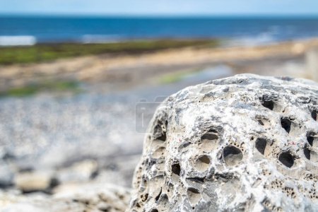 Photo for Stones with holes at storm beach by Carrowhubbuck North Carrownedin close to Inishcrone, Enniscrone in County Sligo, Ireland - Royalty Free Image