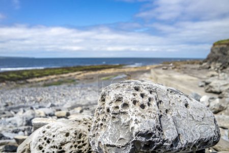 Foto de Stones with holes at storm beach by Carrowhubbuck North Carrownedin close to Inishcrone, Enniscrone in County Sligo, Ireland - Imagen libre de derechos