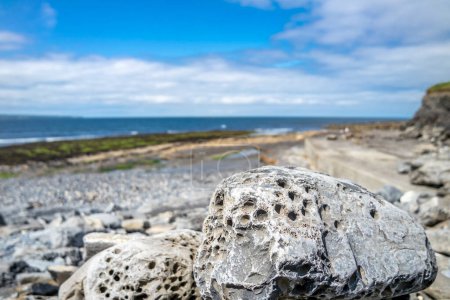 Téléchargez les photos : Stones with holes at storm beach by Carrowhubbuck North Carrownedin close to Inishcrone, Enniscrone in County Sligo, Ireland - en image libre de droit