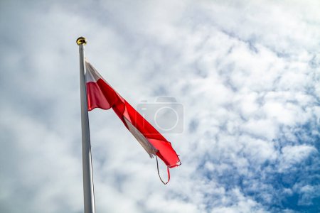 Foto de Bandera de Polonia ondeando al viento
. - Imagen libre de derechos