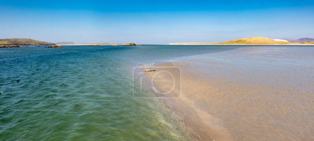 Photo for Seals swimming and and resting at Gweebarra bay - County Donegal, Ireland. - Royalty Free Image