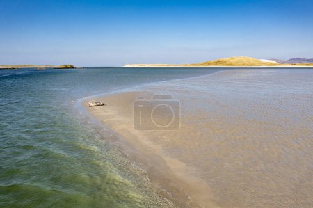 Photo for Seals swimming and and resting at Gweebarra bay - County Donegal, Ireland. - Royalty Free Image