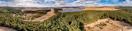 Téléchargez les photos : Vue aérienne de la forêt sur l'île de Lough Anna - Comté de Donegal, Irlande. - en image libre de droit