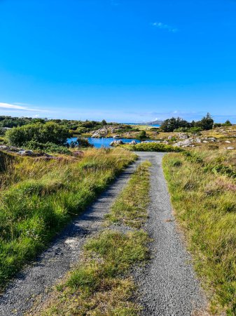 Photo for Little pond close to lough Waskel by Burtonport, County Donegal, Ireland - Seen from the Railway walk. - Royalty Free Image