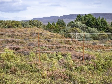 Téléchargez les photos : La clôture à cerfs au parc national Glenveagh dans le comté de Donegal, Irlande. - en image libre de droit
