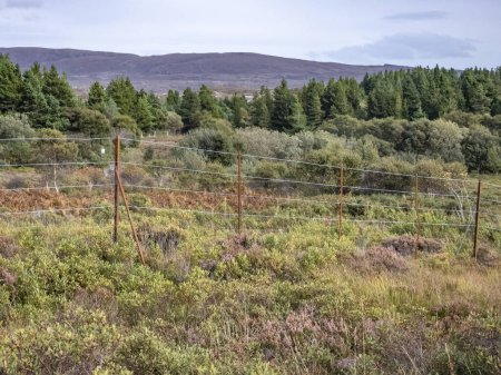 Téléchargez les photos : La clôture à cerfs au parc national Glenveagh dans le comté de Donegal, Irlande. - en image libre de droit