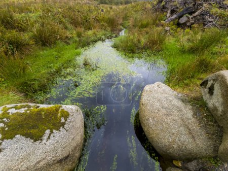 Photo for View of the beautiful stream in Bonny Glen in County Donegal - Ireland - Royalty Free Image