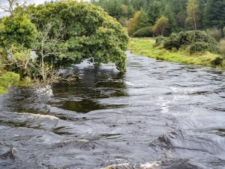 El río Owenea por Ardara en el Condado de Donegal - Irlanda.
