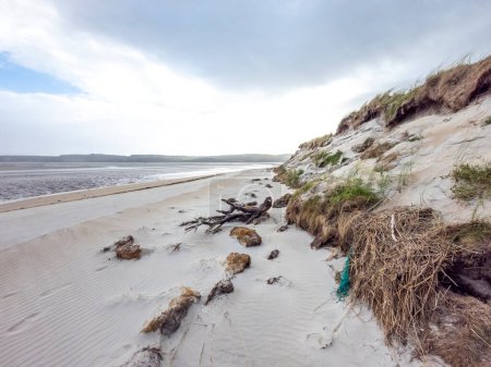 Foto de Tormenta de arena en la playa de Dooey por Lettermacaward en el Condado de Donegal - Irlanda. - Imagen libre de derechos