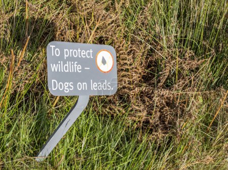 Foto de Por favor, mantenga a su perro en una información de plomo para proteger la vida silvestre. - Imagen libre de derechos