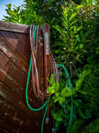 Photo for Hose hanging over wooden garden fence. - Royalty Free Image