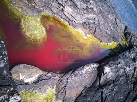 Bright red coloured rockpool due to bloom of algae.