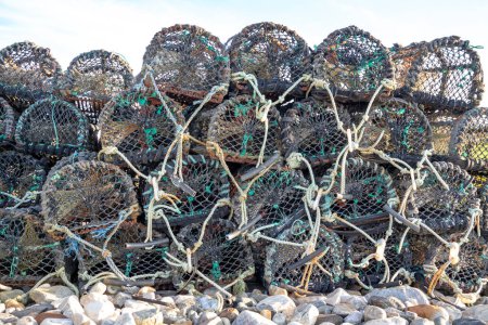 Téléchargez les photos : Fermeture des casiers à homard en Irlande. - en image libre de droit