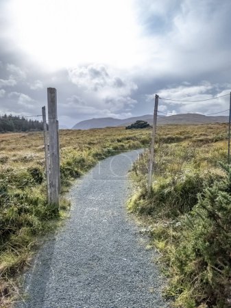 Der Wildzaun im Glenveagh National Park im County Donegal, Irland.