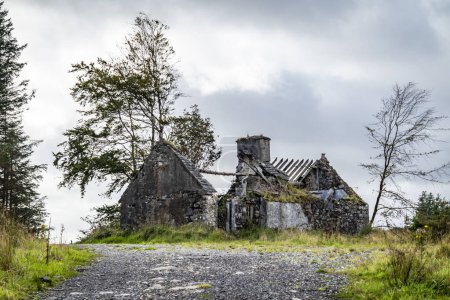 Verlassenes Haus im Wald bei Letterilly bei Glenties, County Donegal, Irland.