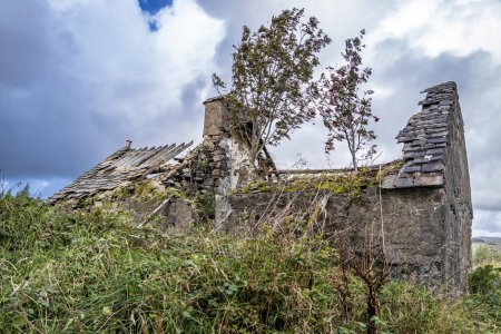 Verlassenes Haus im Wald bei Letterilly bei Glenties, County Donegal, Irland.