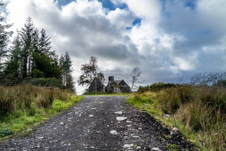 Casa abandonada en el bosque en Letterilly by Glenties, Condado de Donegal, Irlanda.