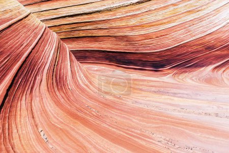 Photo for The Wave is an awesome vivid swirling petrified dune sandstone formation in Coyote Buttes North. It could be seen in Paria Canyon-Vermilion Cliffs Wilderness, Arizona. USA - Royalty Free Image