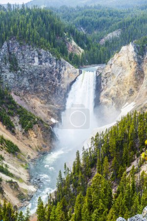 Photo for View at Lower Falls in Yellowstone Grand Canyon seen from Artist Point. Yellowstone National Park, Wyoming, USA - Royalty Free Image