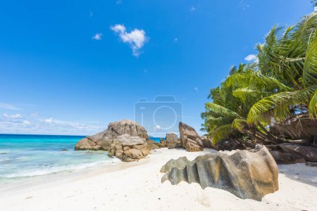 Téléchargez les photos : Rochers de granit magnifiquement formés et sable blanc parfait à la plage d'Anse Patates, île de La Digue, Seychelles - en image libre de droit