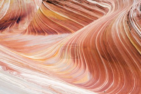 Photo for The Wave is an awesome vivid swirling petrified dune sandstone formation in Coyote Buttes North. It could be seen in Paria Canyon-Vermilion Cliffs Wilderness, Arizona. USA - Royalty Free Image