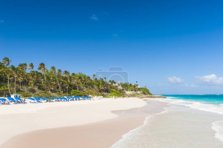 Téléchargez les photos : Crane Beach est l'une des plus belles plages de l'île caribéenne de la Barbade. C'est un paradis tropical avec des palmiers suspendus au-dessus de la mer turquoise - en image libre de droit