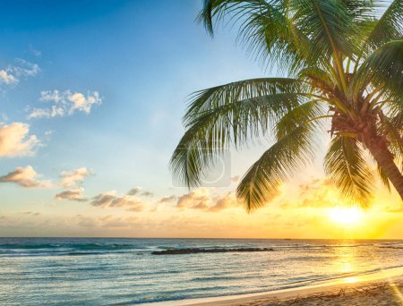Téléchargez les photos : Beau coucher de soleil sur la mer avec vue sur les cocotiers sur la plage de sable blanc sur une île caribéenne de la Barbade - en image libre de droit