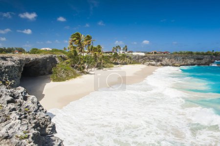 Téléchargez les photos : Bottom Bay est l'une des plus belles plages de l'île caribéenne de la Barbade. C'est un paradis tropical avec des palmiers suspendus au-dessus de la mer turquoise et une grotte de pirates - en image libre de droit