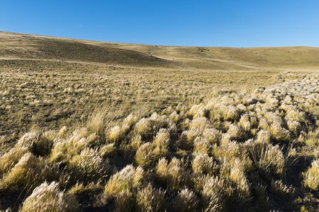 Téléchargez les photos : Route à travers les collines et les plaines de Patagonie pampas, Argentine. - en image libre de droit