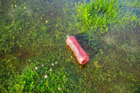 Téléchargez les photos : Bouteille en plastique animal dans l'eau. concept de pollution naturelle - en image libre de droit