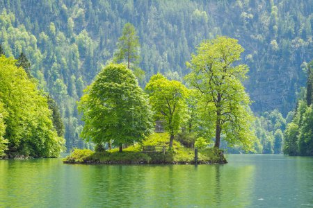 Téléchargez les photos : Île avec des arbres sur le lac - en image libre de droit
