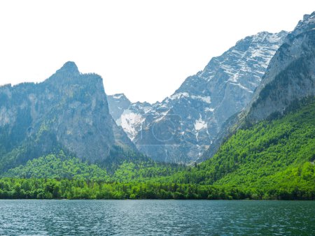 Téléchargez les photos : Paysage de montagne générique avec lac et forêt sur fond de ciel blanc - en image libre de droit