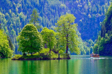 Téléchargez les photos : Bateau à passagers ou navire sur le lac. Forêt avec arbres en arrière-plan - en image libre de droit