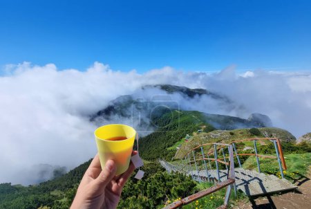 Téléchargez les photos : Tasse de thé à Ceahlau paysage de montagne, Roumanie - en image libre de droit