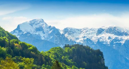 Téléchargez les photos : Alpes d'Allemagne et d'Autriche. scène d'été avec neige - en image libre de droit