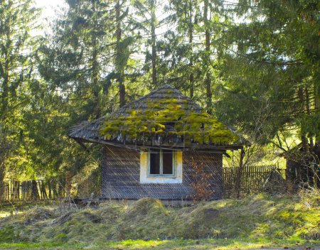 Téléchargez les photos : Vieille maison abandonnée dans la forêt - en image libre de droit