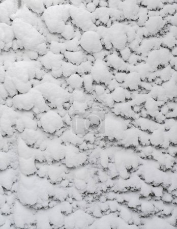 Foto de Fondo de invierno hecho de textura de nieve primer plano - Imagen libre de derechos