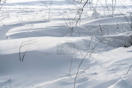 Foto de Fondo de invierno, textura de nieve primer plano - Imagen libre de derechos