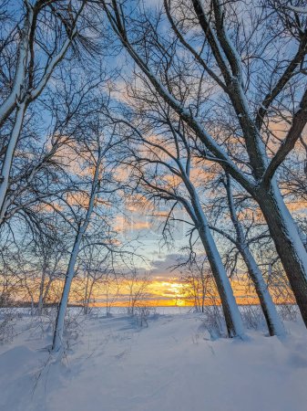 Foto de Paisaje de invierno rural, cubierto de nieve al atardecer - Imagen libre de derechos