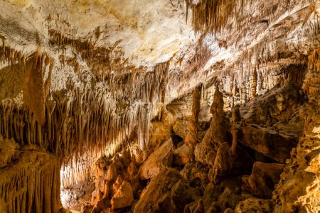 asombrosas fotos de cuevas de Drach en Mallorca, España, Europa