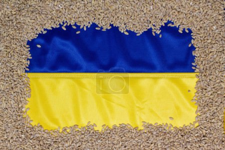 Téléchargez les photos : Grain ukrainien. Grains de blé sur le fond du drapeau ukrainien. Concept de corridor d'exportation de céréales ukrainiennes vers les pays africains affamés. Illustration de nouvelles sur la faim. Invasion russe - en image libre de droit