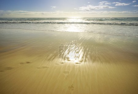 Téléchargez les photos : La lueur dorée sur le sable humide que le soleil se lève sur l'océan tôt le matin. Fond vide avec concept d'espace de copie pour vacances, vacances, enchantement, inspiration, calme, amour, détente, voyage, voyage, été - en image libre de droit