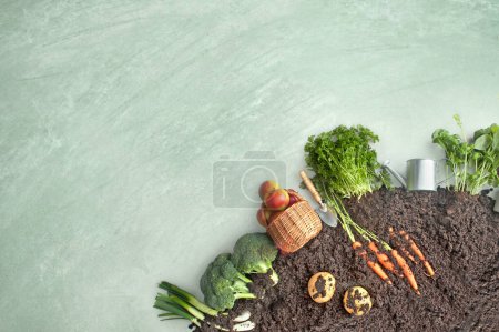Foto de Frutas y hortalizas en pizarra cultivadas en compost de jardín circular, incluidas zanahorias, patatas - Imagen libre de derechos