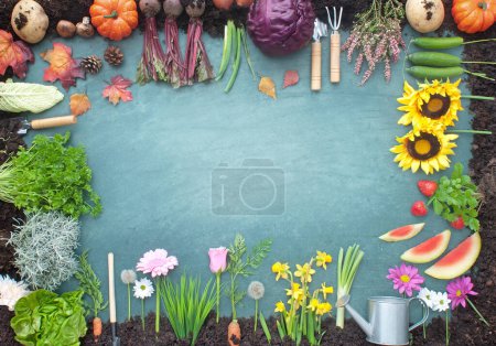 Foto de Concepto orgánico de cosecha de cuatro estaciones en una pizarra, con frutas y verduras creciendo en compost - Imagen libre de derechos