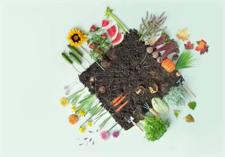 Foto de Concepto de parche de jardín de cuatro estaciones de frutas y verduras orgánicas - Imagen libre de derechos