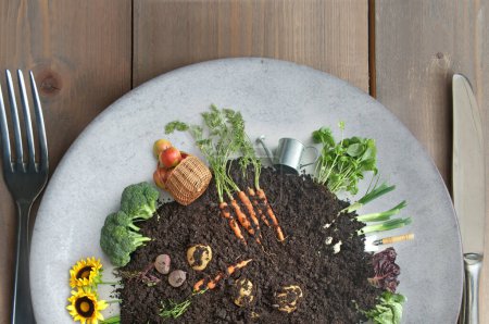 Foto de Frutas y verduras ecológicas que crecen en un círculo de compost ecológico en un plato con cubiertos - Imagen libre de derechos