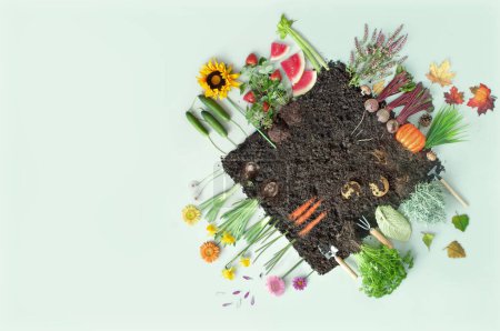 Foto de Concepto de parche de jardín de cuatro estaciones de frutas y verduras orgánicas - Imagen libre de derechos